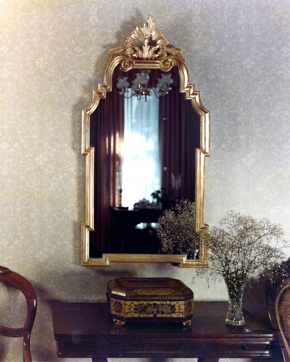 1001 Provence Mirror 25×49