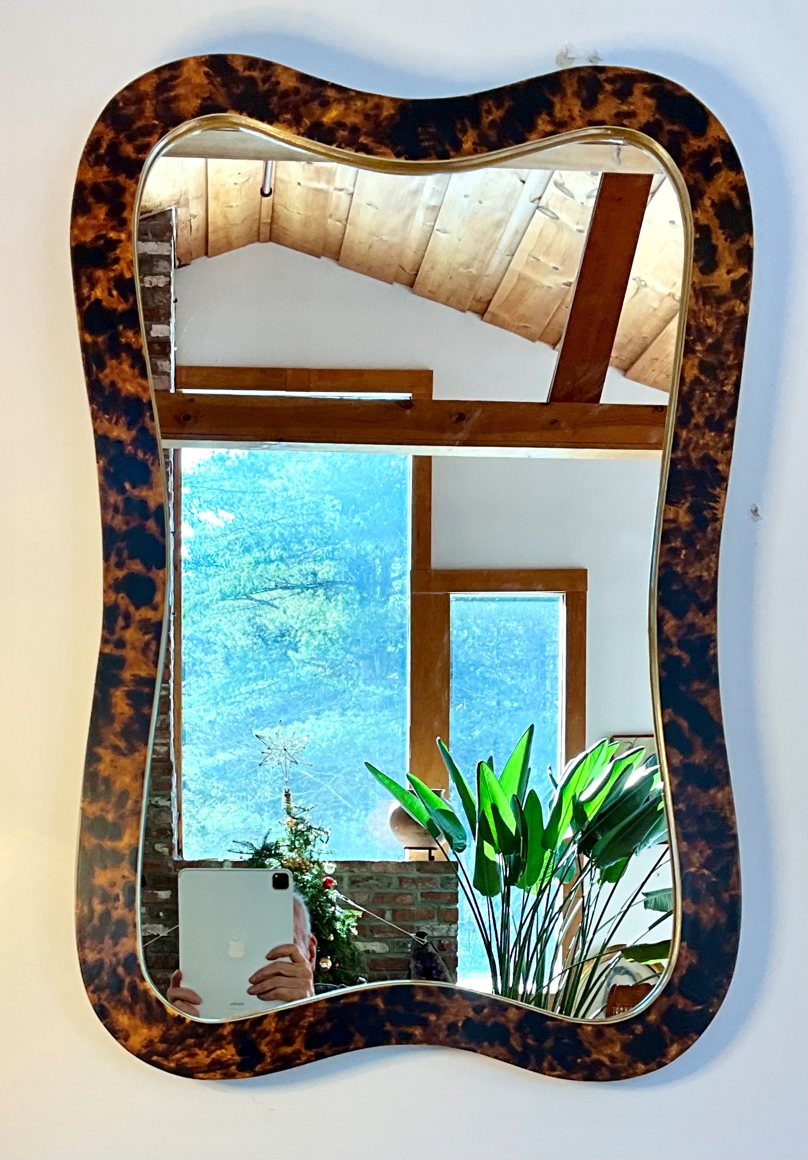 1974 Alegro 20.5×30.5