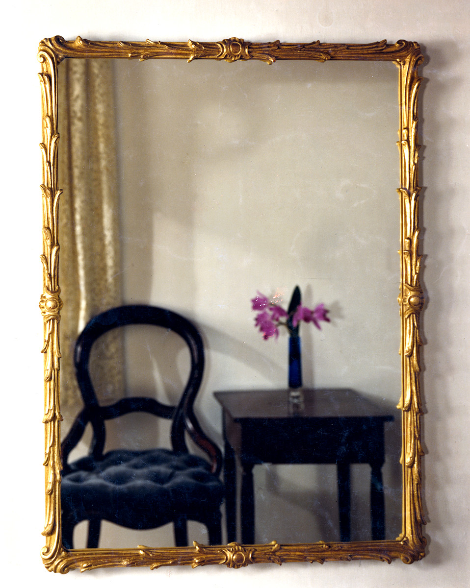 5117 Acanthus Mirror 28×38